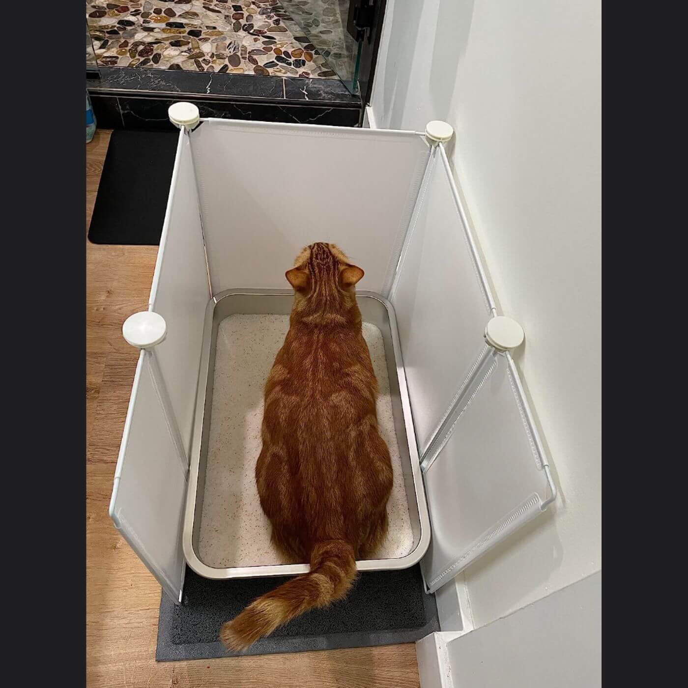 Stainless Steel Litter Box for Cats