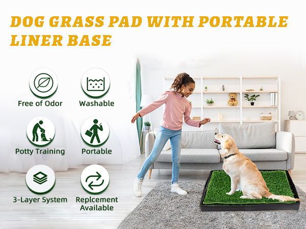 Revolutionize Your Dog's Potty Experience with MEEXPAWS Dog Grass Pad!