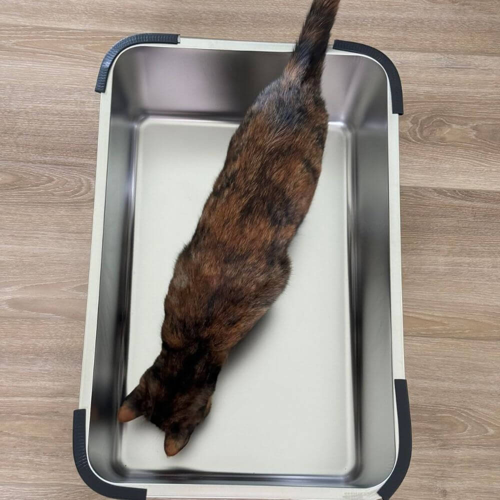 High Side Stainless Steel Litter Box For Cats Odor Control Non Stick